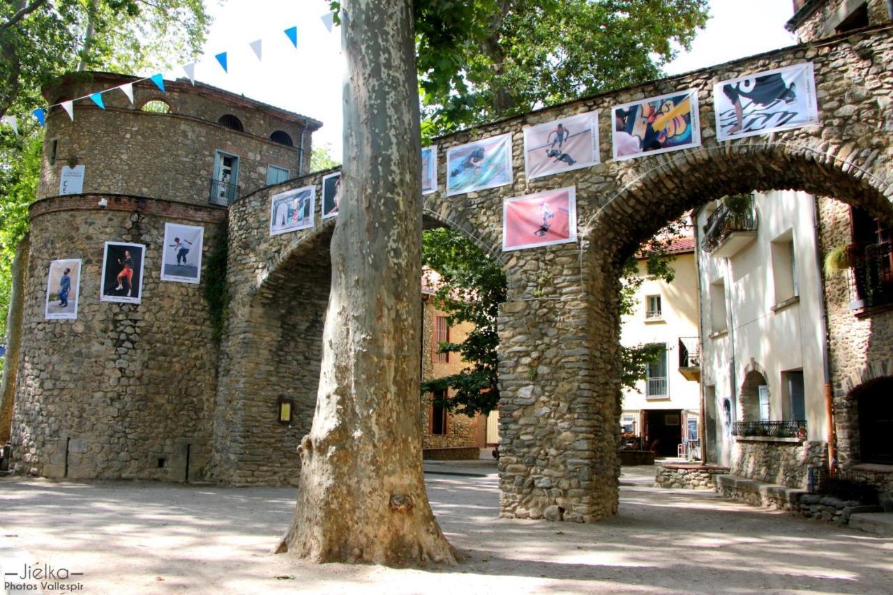 Ferienwohnung La Cigogne Céret Exterior foto