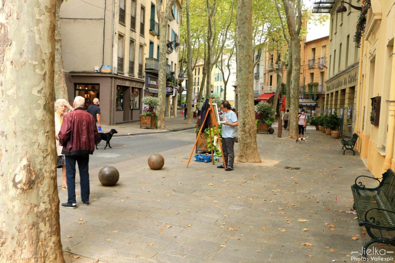 Ferienwohnung La Cigogne Céret Exterior foto