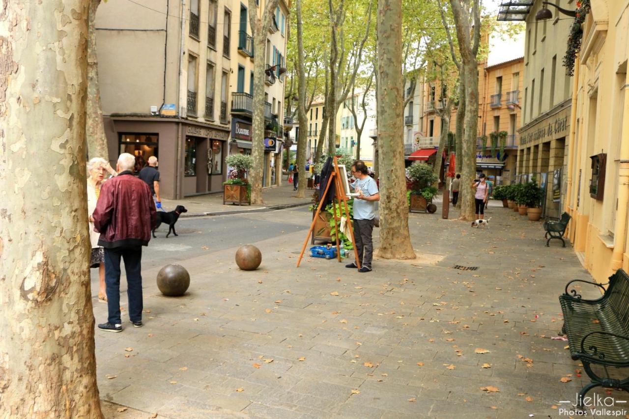 Ferienwohnung La Cigogne Céret Exterior foto