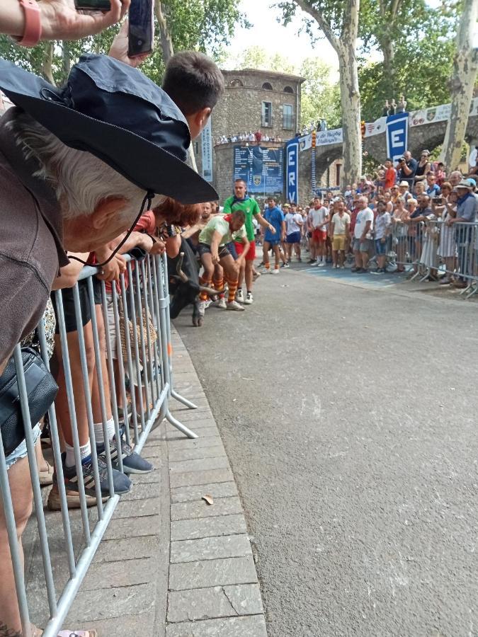 Ferienwohnung La Cigogne Céret Exterior foto