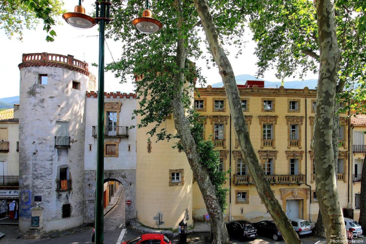 Ferienwohnung La Cigogne Céret Exterior foto